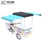 EQT Dondurma Bisikleti Üç Tekerlekli Bisiklet Kargo Sokak İş Satışı Için dondurucu bisiklet elektrikli Soğuk İçecekler için Bisiklet