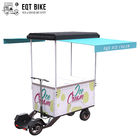 EQT Ticari Dondurma Arabası Elektrikli Kargo Bisiklet Scooter Dondurucu Üç Tekerlekli Bisiklet Otomat Soğuk İçecek için